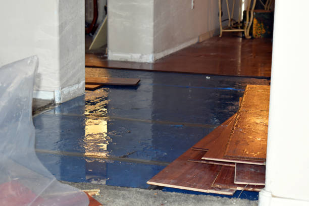 Professional Water Damage technician working in Campton, NH