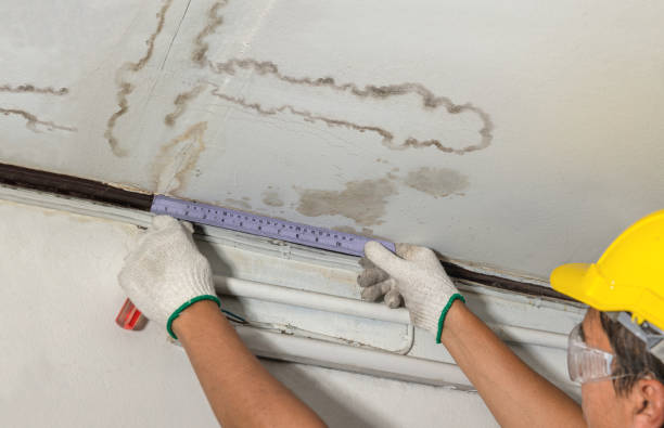 Reliable Water Damage contractor in Campton, NH by Water Damage Irwin